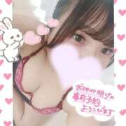 ヒメ日記 2025/09/25 14:52 投稿 あいす 白いぽっちゃりさん