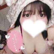 ヒメ日記 2025/09/29 12:04 投稿 あいす 白いぽっちゃりさん