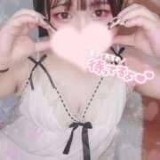 ヒメ日記 2025/10/17 12:05 投稿 あいす 白いぽっちゃりさん