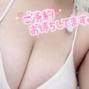 ヒメ日記 2025/09/17 13:01 投稿 せいら ぷるるん小町 京橋店