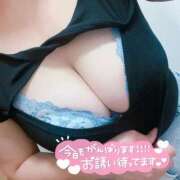 ヒメ日記 2025/09/19 13:59 投稿 せいら ぷるるん小町 京橋店