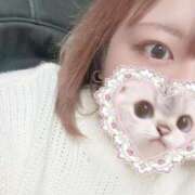 ヒメ日記 2025/11/30 12:08 投稿 せいら ぷるるん小町 京橋店