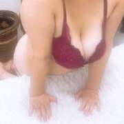 ヒメ日記 2025/12/14 17:31 投稿 せいら ぷるるん小町 京橋店