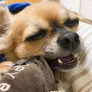 ヒメ日記 2025/09/08 09:05 投稿 ななお 小田原人妻城