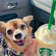 ヒメ日記 2025/09/09 20:53 投稿 ななお 小田原人妻城