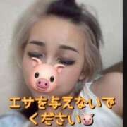 ヒメ日記 2025/09/10 09:08 投稿 ななお 小田原人妻城