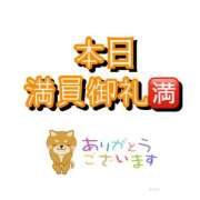 ヒメ日記 2025/09/11 11:13 投稿 ななお 小田原人妻城