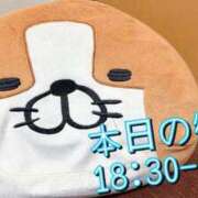 ヒメ日記 2025/09/13 23:09 投稿 ななお 小田原人妻城