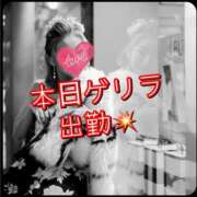 ヒメ日記 2025/11/02 13:22 投稿 ななお 小田原人妻城