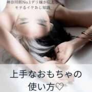 ヒメ日記 2025/12/09 19:27 投稿 ななお 小田原人妻城