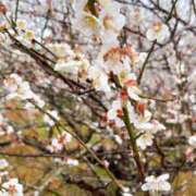 ヒメ日記 2026/02/28 19:30 投稿 ななお 小田原人妻城