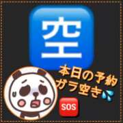 ヒメ日記 2026/03/20 08:55 投稿 ななお 小田原人妻城