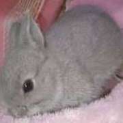 ヒメ日記 2025/09/05 15:13 投稿 なつめ 完熟ばなな神戸・三宮店