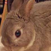 ヒメ日記 2025/09/19 14:47 投稿 なつめ 完熟ばなな神戸・三宮店