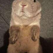 ヒメ日記 2025/09/20 15:00 投稿 なつめ 完熟ばなな神戸・三宮店