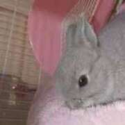 なつめ こんにちは😊 完熟ばなな神戸・三宮店