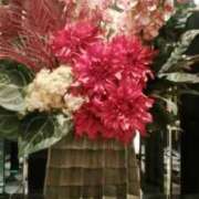 ヒメ日記 2025/09/07 07:16 投稿 笹木 MCロイヤル