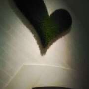 ヒメ日記 2025/09/13 09:06 投稿 笹木 MCロイヤル