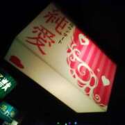 ヒメ日記 2025/09/20 08:36 投稿 笹木 MCロイヤル