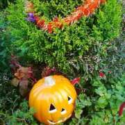 ヒメ日記 2025/09/30 16:46 投稿 笹木 MCロイヤル