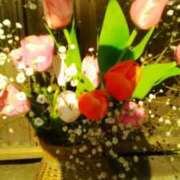 ヒメ日記 2025/10/03 07:36 投稿 笹木 MCロイヤル