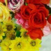 ヒメ日記 2025/10/03 16:56 投稿 笹木 MCロイヤル