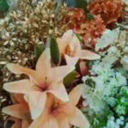 ヒメ日記 2025/10/05 12:07 投稿 笹木 MCロイヤル