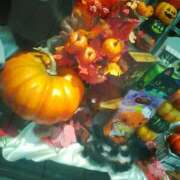 ヒメ日記 2025/10/08 15:16 投稿 笹木 MCロイヤル