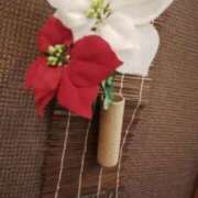 ヒメ日記 2025/10/12 16:56 投稿 笹木 MCロイヤル