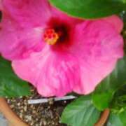 ヒメ日記 2025/10/14 07:56 投稿 笹木 MCロイヤル