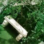 ヒメ日記 2025/10/17 07:16 投稿 笹木 MCロイヤル