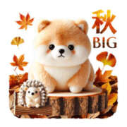 ヒメ日記 2025/10/21 08:06 投稿 笹木 MCロイヤル