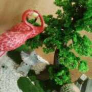 ヒメ日記 2025/10/26 07:36 投稿 笹木 MCロイヤル