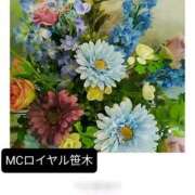 ヒメ日記 2025/11/02 15:16 投稿 笹木 MCロイヤル