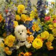 ヒメ日記 2025/11/06 07:26 投稿 笹木 MCロイヤル