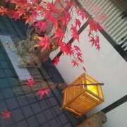 ヒメ日記 2025/11/06 18:06 投稿 笹木 MCロイヤル