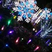 ヒメ日記 2025/11/09 11:06 投稿 笹木 MCロイヤル