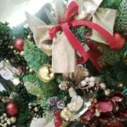 ヒメ日記 2025/11/16 10:06 投稿 笹木 MCロイヤル