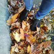 ヒメ日記 2025/11/18 07:46 投稿 笹木 MCロイヤル