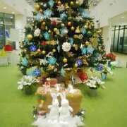 ヒメ日記 2025/11/19 07:56 投稿 笹木 MCロイヤル