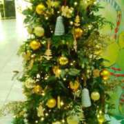 ヒメ日記 2025/11/21 17:06 投稿 笹木 MCロイヤル