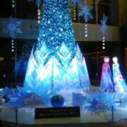 ヒメ日記 2025/11/26 09:36 投稿 笹木 MCロイヤル