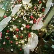 ヒメ日記 2025/11/28 07:16 投稿 笹木 MCロイヤル