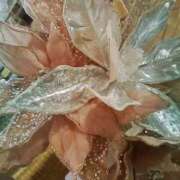 ヒメ日記 2025/11/28 16:26 投稿 笹木 MCロイヤル