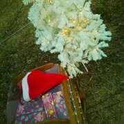 ヒメ日記 2025/11/30 17:26 投稿 笹木 MCロイヤル