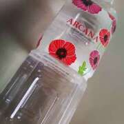 ヒメ日記 2025/12/09 07:06 投稿 笹木 MCロイヤル