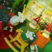 ヒメ日記 2025/12/21 07:21 投稿 笹木 MCロイヤル