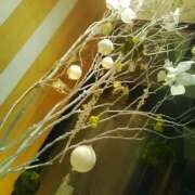 ヒメ日記 2025/12/22 08:06 投稿 笹木 MCロイヤル