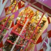 ヒメ日記 2025/12/24 07:16 投稿 笹木 MCロイヤル