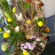 ヒメ日記 2026/01/02 09:56 投稿 笹木 MCロイヤル